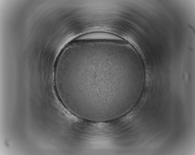 X0000100390992200806130948