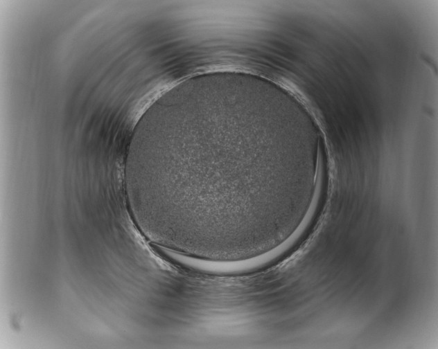 X0000100390993200806130948