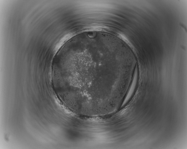 X0000100390994200806130948