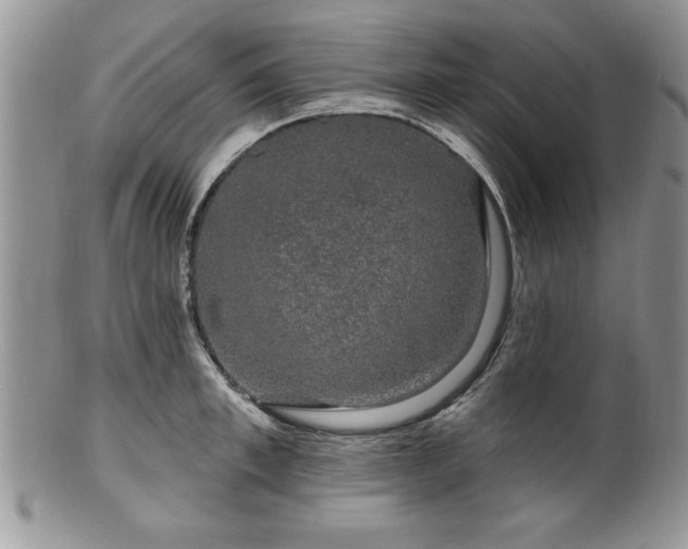 X0000100390997200806130948