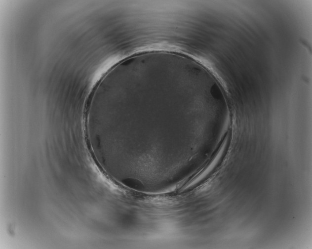 X0000100390998200806130947