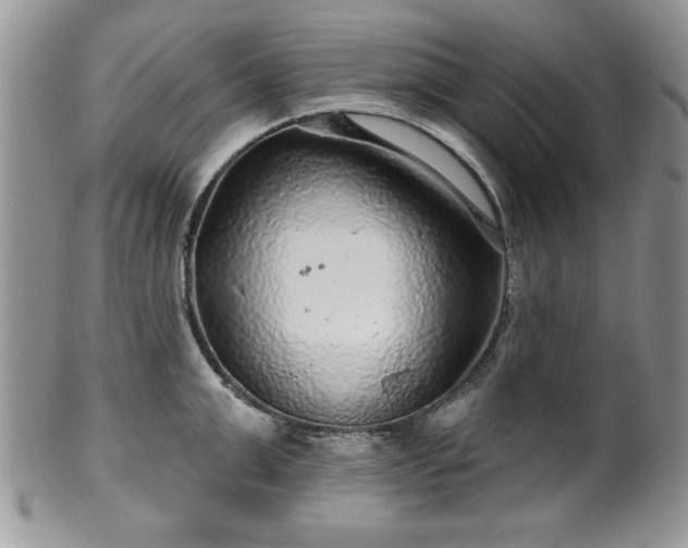 X0000100390999200806130947