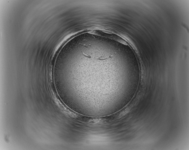 X0000100391000200806130947