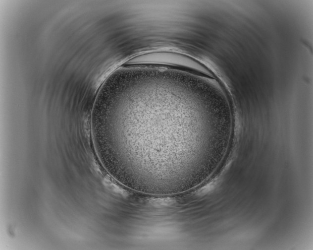 X0000100391001200806130947