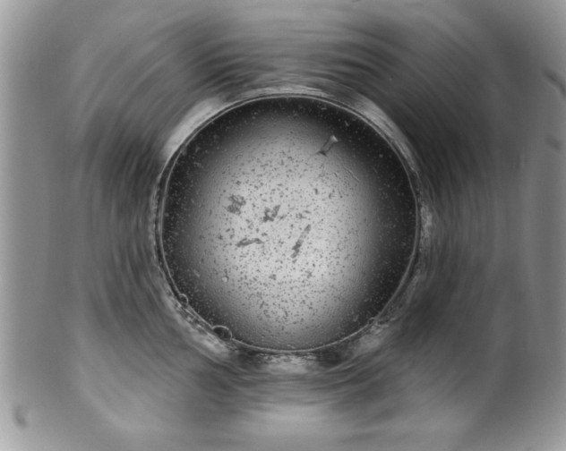 X0000100391002200806130947