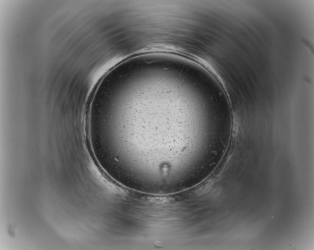 X0000100391003200806130947