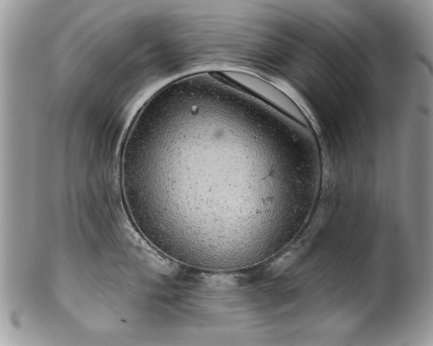 X0000100391004200806130947