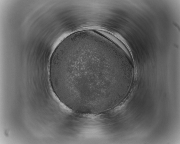 X0000100391005200806130947