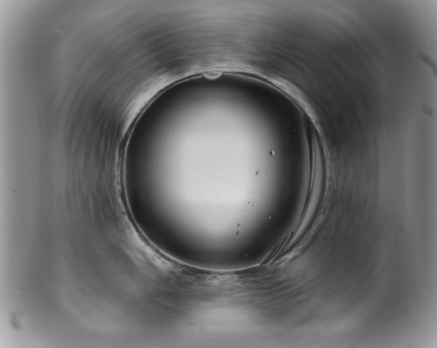 X0000100391006200806130947