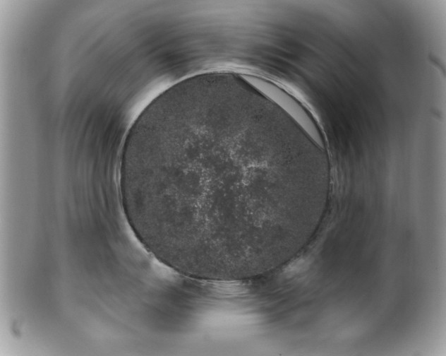 X0000100391007200806130947