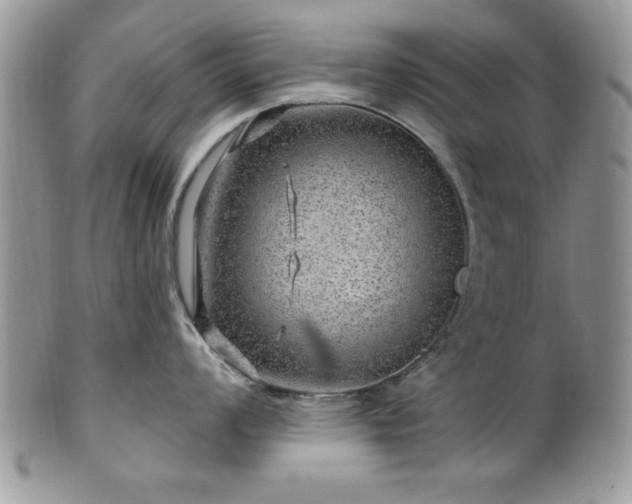 X0000100391008200806130947