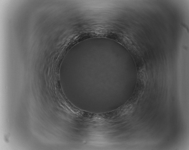 X0000100391009200806130947