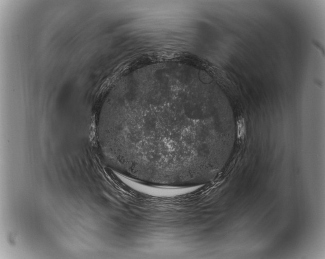 X0000100391011200806130947