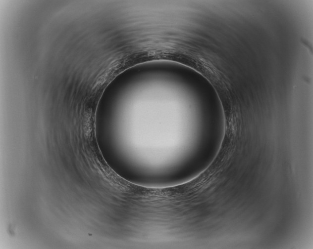 X0000100391012200806130947