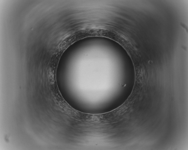 X0000100391013200806130947