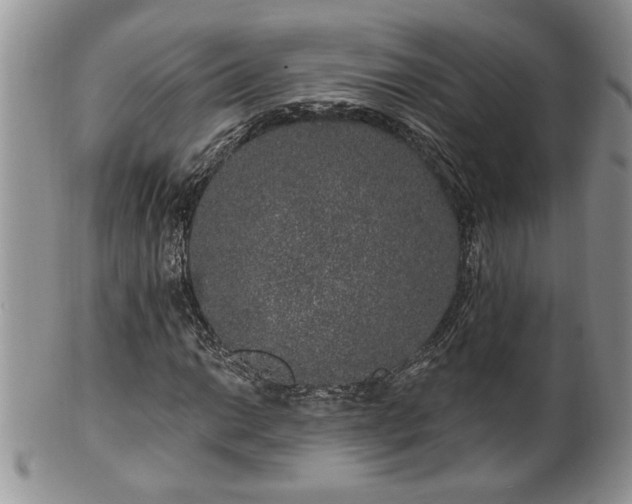 X0000100391014200806130947