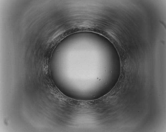 X0000100391015200806130947