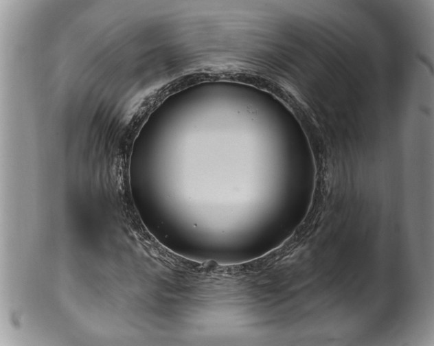 X0000100391016200806130947