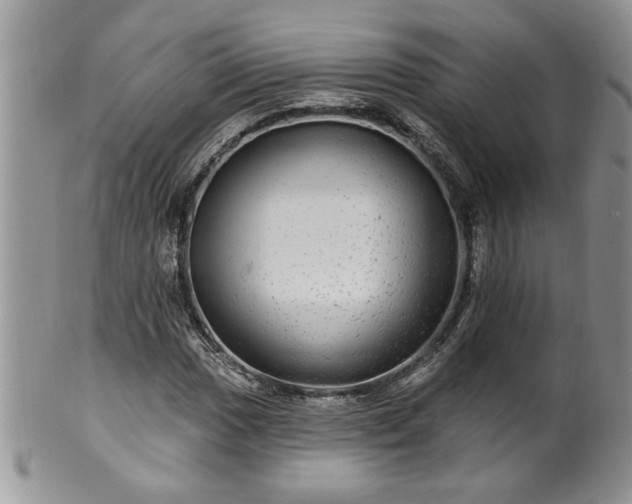 X0000100391017200806130947