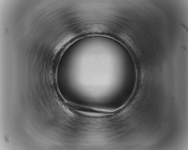 X0000100391018200806130947