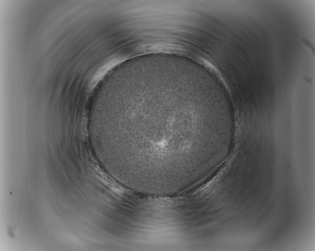 X0000100391019200806130947