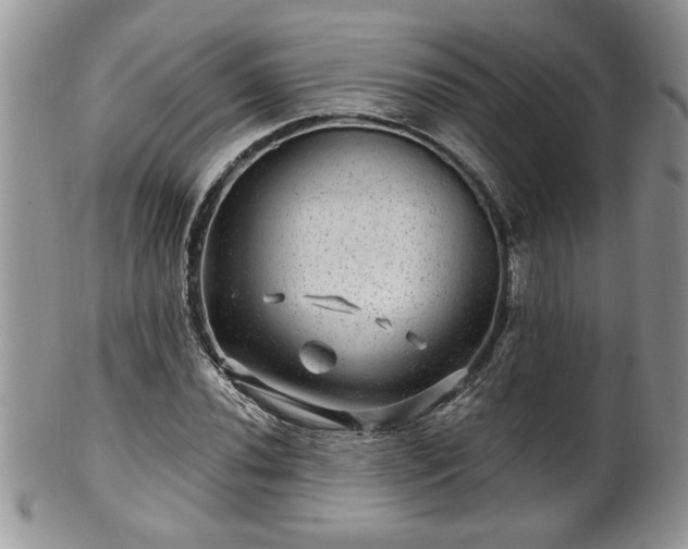 X0000100391020200806130947