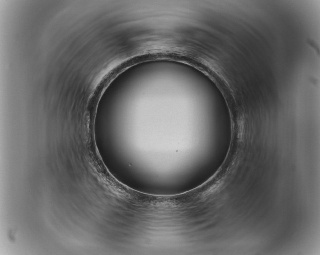 X0000100391021200806130947