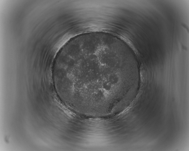 X0000100391023200806130947