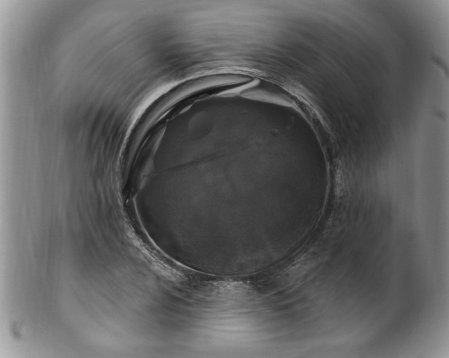 X0000100391024200806130947