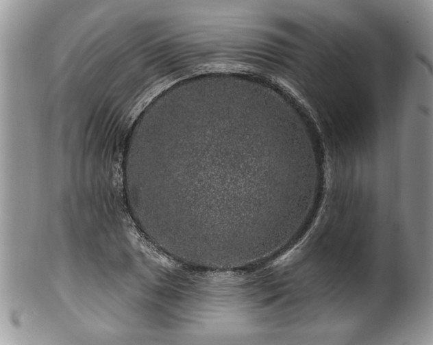 X0000100391025200806130947