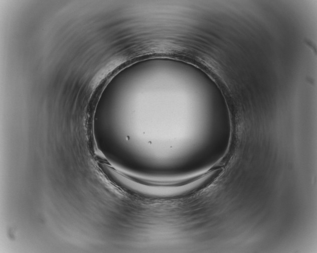 X0000100391026200806130947