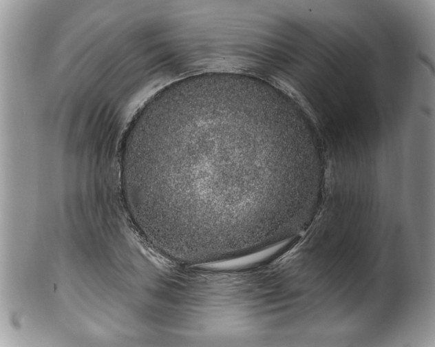 X0000100391027200806130947