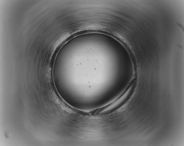 X0000100391029200806130947