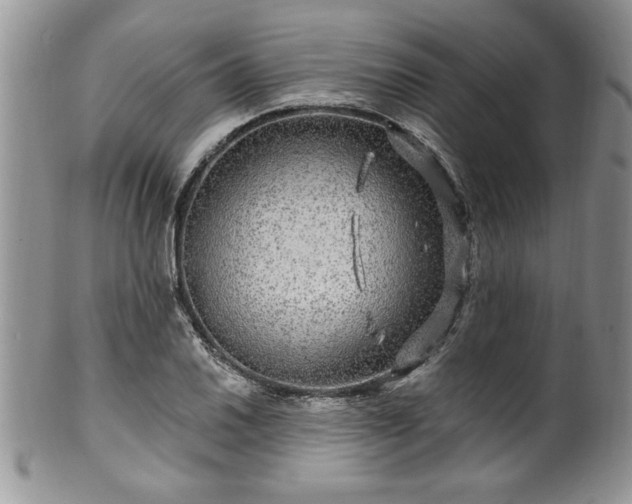 X0000100391030200806130947