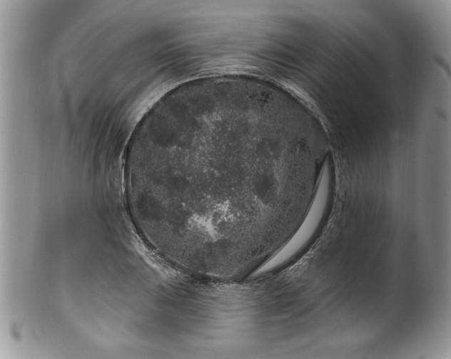 X0000100391031200806130947