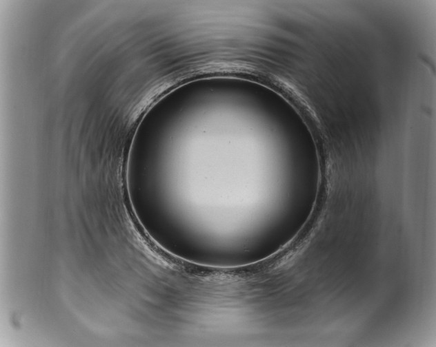 X0000100391033200806130947