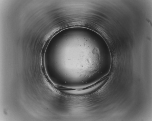 X0000100391034200806130947