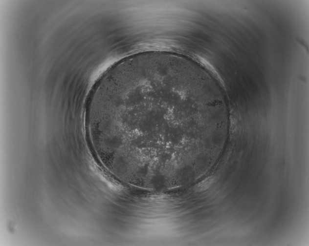 X0000100391035200806130947