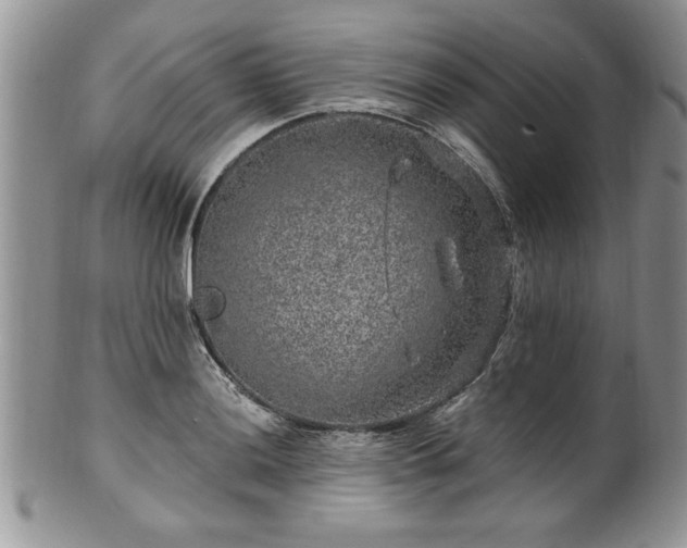 X0000100391036200806130947