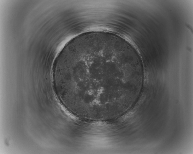 X0000100391037200806130947