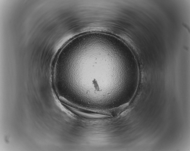 X0000100391038200806130947