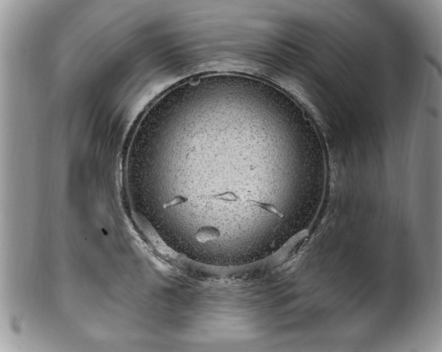 X0000100391040200806130947