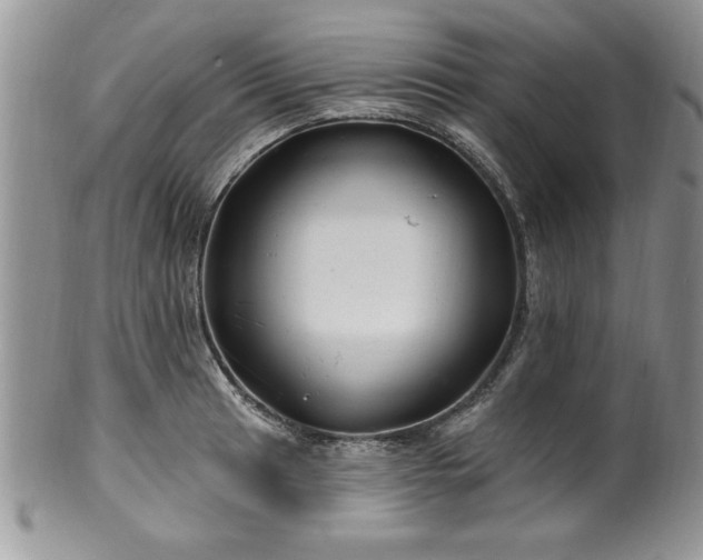 X0000100391041200806130947