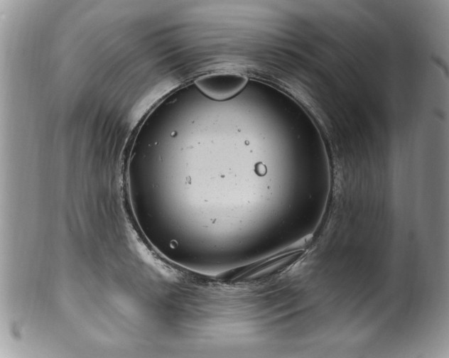 X0000100391042200806130947