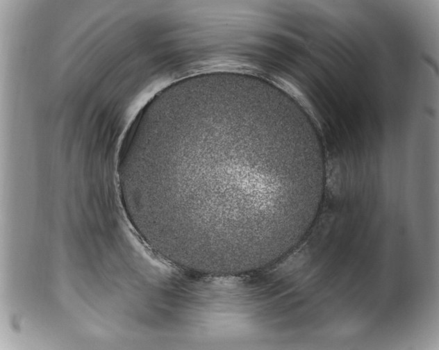 X0000100391043200806130947