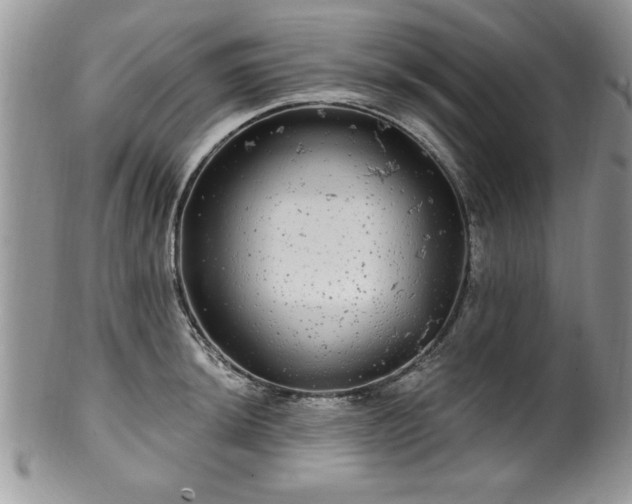 X0000100391044200806130947