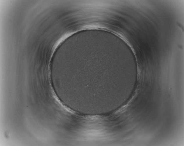 X0000100391045200806130947