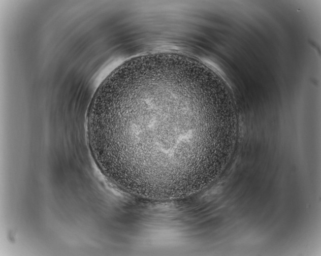 X0000100391047200806130947