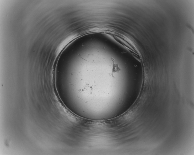 X0000100391050200806130947