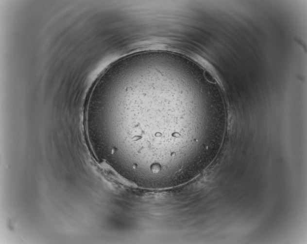 X0000100391051200806130947